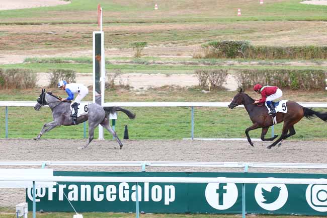 Photo d'arrivée de la course pmu PRIX DE SAINT-HYMER à DEAUVILLE le Mardi 23 août 2022