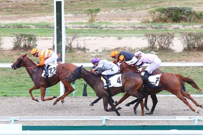 Photo d'arrivée de la course pmu PRIX DU CIDRE à DEAUVILLE le Mardi 23 août 2022