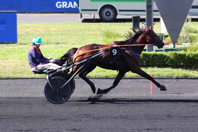 Photo d'arrivée de la course pmu PRIX DU PERIGORD à PARIS-VINCENNES le Mercredi 24 août 2022