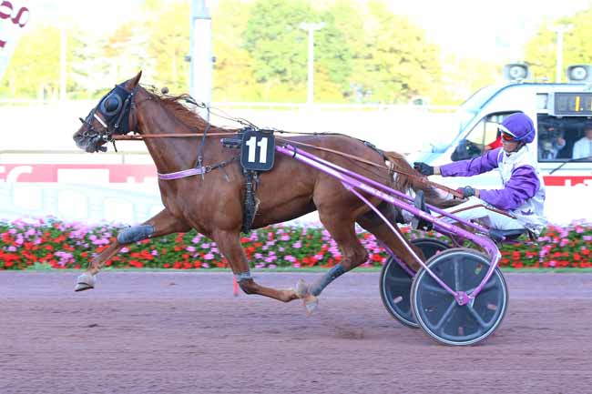 Photo d'arrivée de la course pmu PRIX DE GRANVILLE (PRIX DES LINAIRES) à CABOURG le Vendredi 26 août 2022