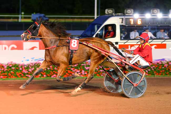 Photo d'arrivée de la course pmu PRIX LOCATECH (PRIX DES COQUELICOTS) à CABOURG le Vendredi 26 août 2022