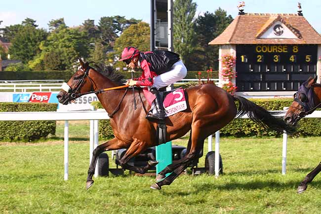 Photo d'arrivée de la course pmu PRIX DE LA VILLE DE HONFLEUR (PRIX DE CLOTURE) à CLAIREFONTAINE le Vendredi 26 août 2022