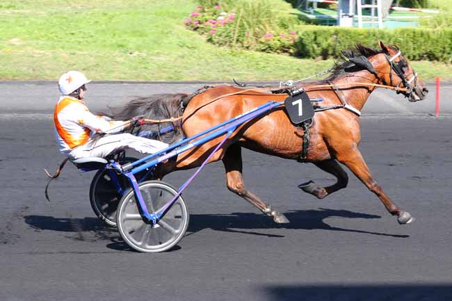 Photo d'arrivée de la course pmu PRIX DE BOSC RENOULT à PARIS-VINCENNES le Mercredi 31 août 2022