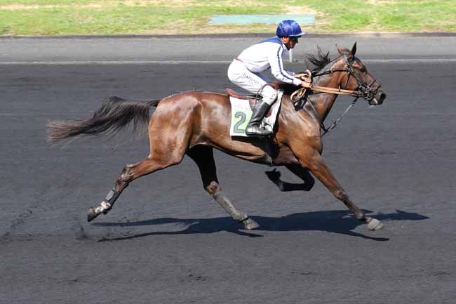 Photo d'arrivée de la course pmu PRIX DE PERPIGNAN à PARIS-VINCENNES le Mercredi 31 août 2022