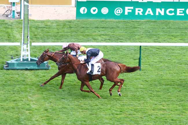 Photo d'arrivée de la course pmu PRIX DE LIANCOURT à LONGCHAMP le Jeudi 1 septembre 2022