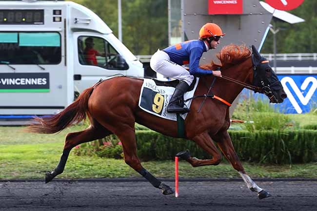 Photo d'arrivée de la course pmu PRIX EMILE RIOTTEAU à PARIS-VINCENNES le Vendredi 2 septembre 2022