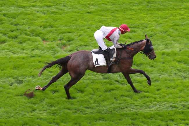 Photo d'arrivée de la course pmu PRIX DE GIEN à AUTEUIL le Vendredi 2 septembre 2022