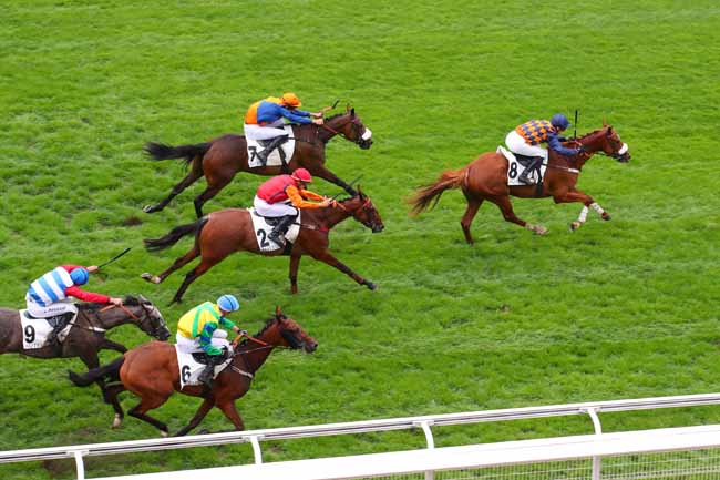 Photo d'arrivée de la course pmu PRIX AMATI à AUTEUIL le Vendredi 2 septembre 2022