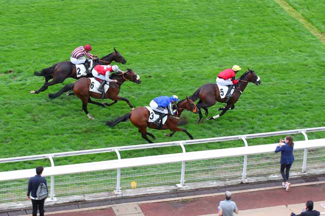 Photo d'arrivée de la course pmu PRIX DES PLATANES à AUTEUIL le Vendredi 2 septembre 2022