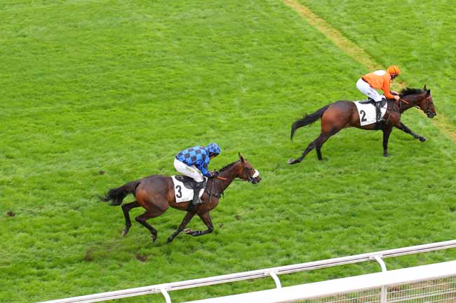 Photo d'arrivée de la course pmu PRIX ACHILLE-FOULD à AUTEUIL le Vendredi 2 septembre 2022