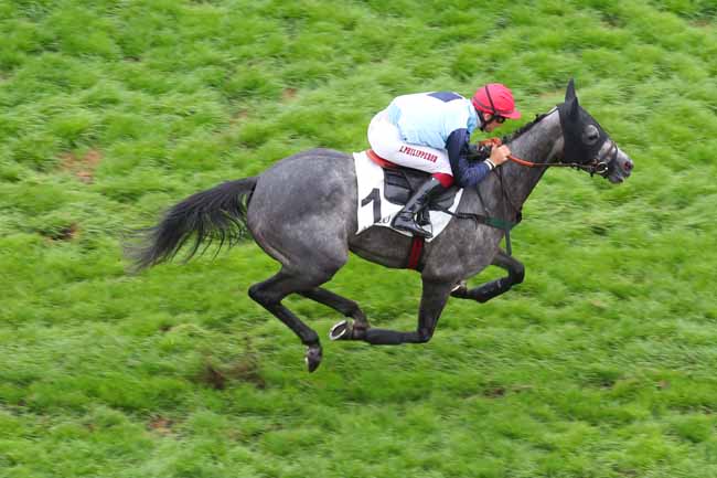 Photo d'arrivée de la course pmu PRIX PIERRE ET JEAN-MARIE MERCIER à AUTEUIL le Vendredi 2 septembre 2022