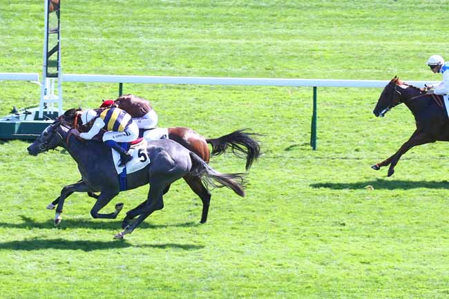 Photo d'arrivée de la course pmu PRIX LA ROCHETTE à LONGCHAMP le Dimanche 4 septembre 2022