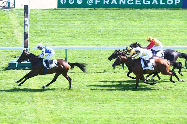 Photo d'arrivée de la course pmu PRIX GLADIATEUR à LONGCHAMP le Dimanche 4 septembre 2022