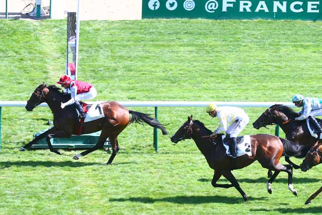 Photo d'arrivée de la course pmu LA COUPE DE MAISONS-LAFFITTE à LONGCHAMP le Dimanche 4 septembre 2022