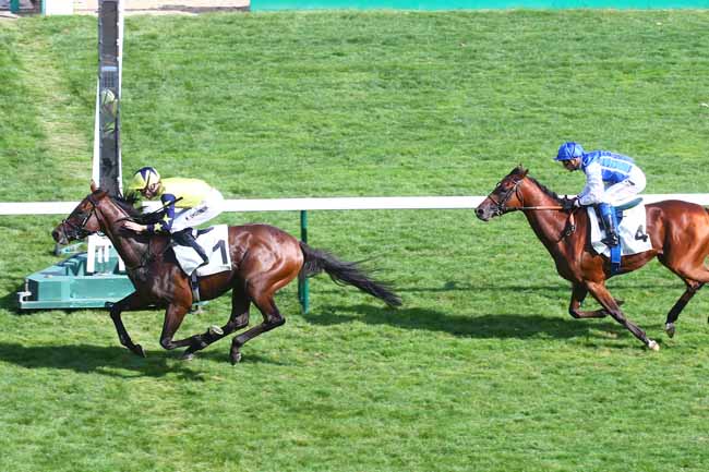 Photo d'arrivée de la course pmu PRIX DU PRINCE D'ORANGE à LONGCHAMP le Dimanche 4 septembre 2022