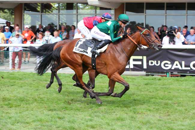 Photo d'arrivée de la course pmu PRIX DU HARAS DE BOUQUETOT - CRITERIUM DE L'OUEST à CRAON le Lundi 5 septembre 2022