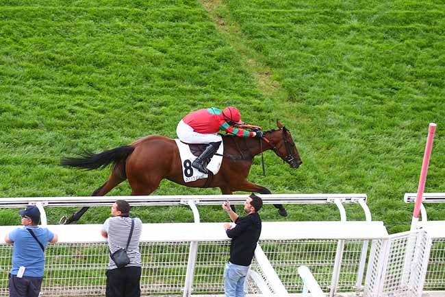 Photo d'arrivée de la course pmu PRIX PELAT à AUTEUIL le Mardi 6 septembre 2022