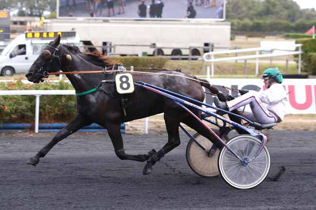 Photo d'arrivée de la course pmu PRIX DU PMU 