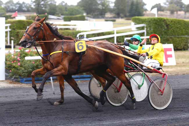 Photo d'arrivée de la course pmu PRIX DU CREDIT MUTUEL à MESLAY DU MAINE le Mercredi 7 septembre 2022