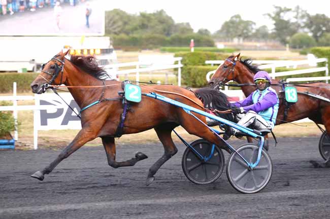 Photo d'arrivée de la course pmu PRIX DU PAYS DE MESLAY-GREZ à MESLAY DU MAINE le Mercredi 7 septembre 2022