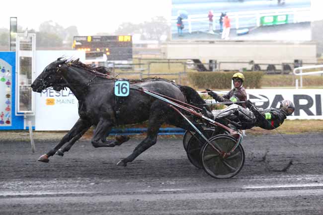 Photo d'arrivée de la course pmu PRIX MARCHE DU TERROIR - PRIX RACE AND CARE à MESLAY DU MAINE le Mercredi 7 septembre 2022