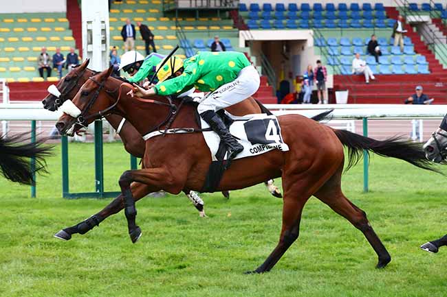 Photo d'arrivée de la course pmu PRIX NUAGE à COMPIEGNE le Vendredi 9 septembre 2022