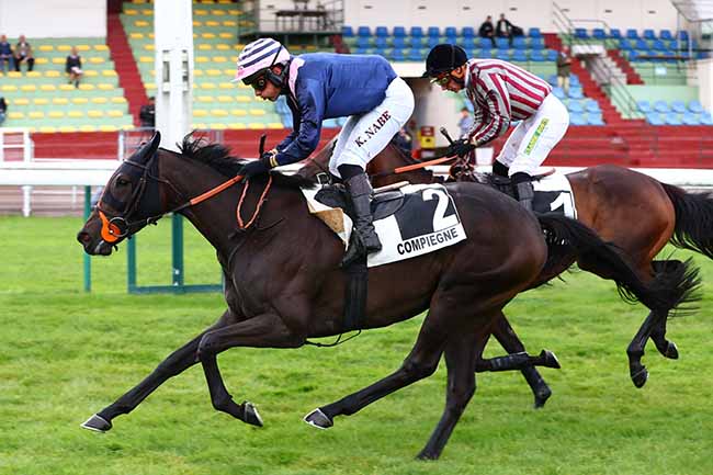 Photo d'arrivée de la course pmu PRIX ROMAN OAK à COMPIEGNE le Vendredi 9 septembre 2022