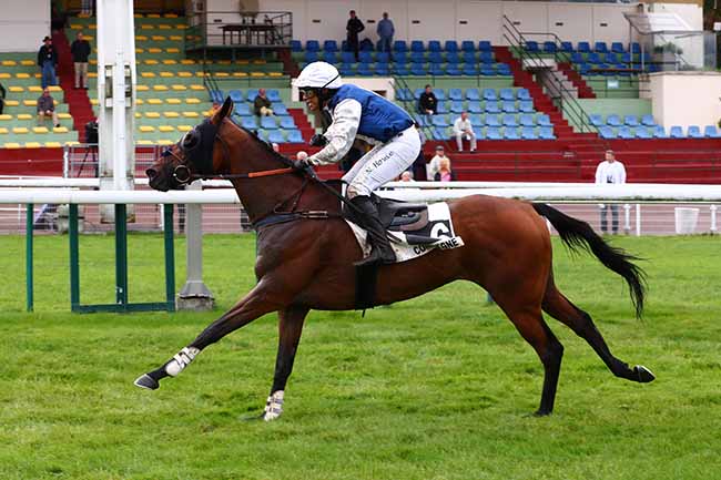 Photo d'arrivée de la course pmu PRIX DE PORNIC à COMPIEGNE le Vendredi 9 septembre 2022