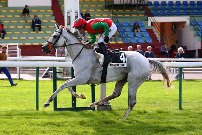 Photo d'arrivée de la course pmu PRIX DE RANVILLE à COMPIEGNE le Vendredi 9 septembre 2022