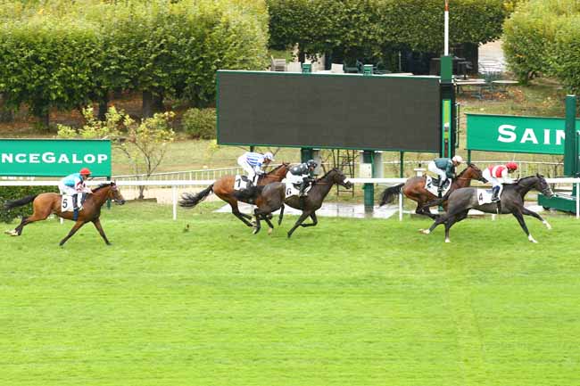 Photo d'arrivée de la course pmu PRIX KENDOR à SAINT CLOUD le Vendredi 9 septembre 2022