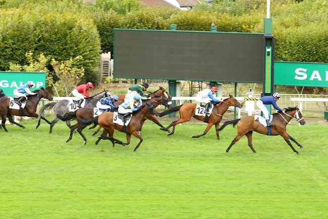 Photo d'arrivée de la course pmu PRIX DE LA VERRIERE à SAINT CLOUD le Vendredi 9 septembre 2022
