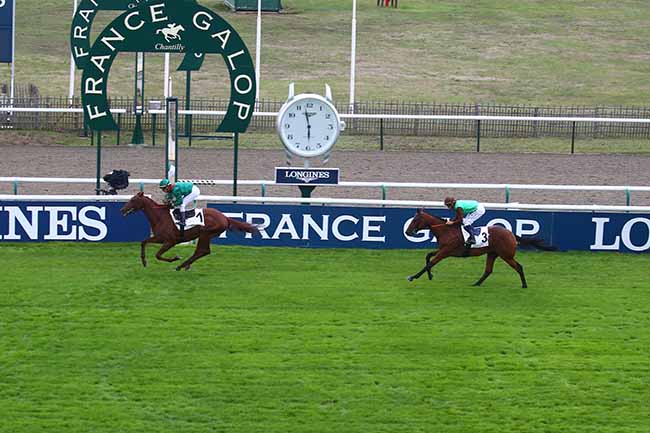 Photo d'arrivée de la course pmu PRIX DES AIGLES à CHANTILLY le Samedi 10 septembre 2022