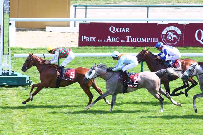 Photo d'arrivée de la course pmu QATAR CUP - PRIX DRAGON à LONGCHAMP le Dimanche 11 septembre 2022