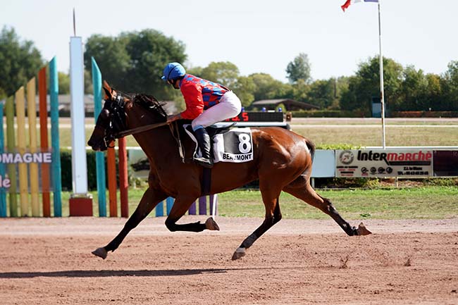 Photo d'arrivée de la course pmu PRIX DE LA PRESSE D'ENDOUMINGUE à BEAUMONT DE LOMAGNE le Lundi 12 septembre 2022