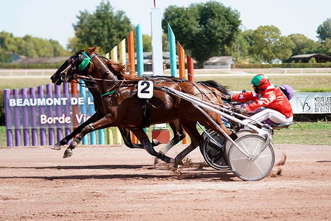 Photo d'arrivée de la course pmu PRIX DE LA DEPECHE DU MIDI à BEAUMONT DE LOMAGNE le Lundi 12 septembre 2022