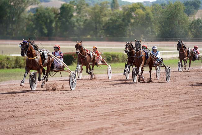 Photo d'arrivée de la course pmu GRAND PRIX JEAN DUMOUCH à BEAUMONT DE LOMAGNE le Lundi 12 septembre 2022