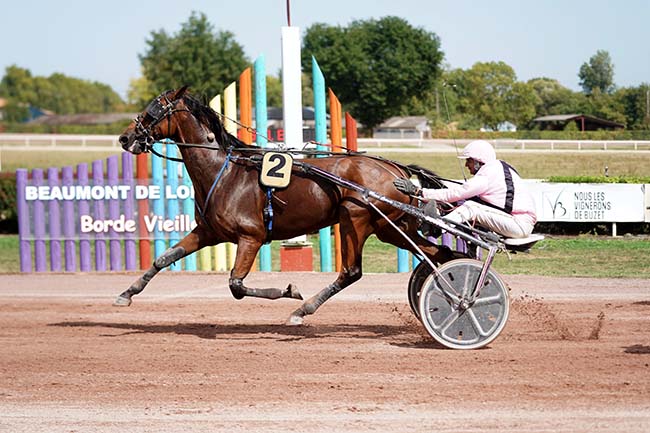 Photo d'arrivée de la course pmu PRIX ATHOS CONSEIL à BEAUMONT DE LOMAGNE le Lundi 12 septembre 2022