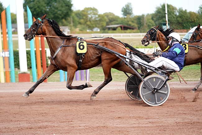Photo d'arrivée de la course pmu PRIX FACE TIME BOURBON à BEAUMONT DE LOMAGNE le Lundi 12 septembre 2022