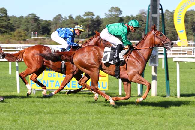 Photo d'arrivée de la course pmu PRIX DES BOSQUETS à FONTAINEBLEAU le Lundi 12 septembre 2022