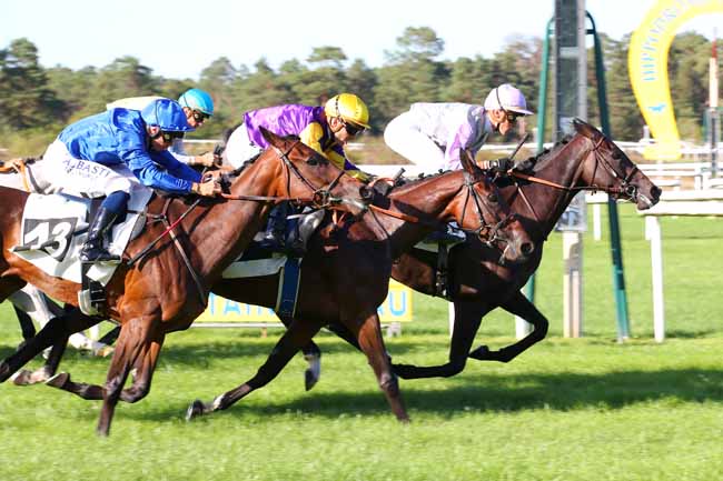 Photo d'arrivée de la course pmu PRIX CENTRE D'ECOTOURISME DE FRANCHARD à FONTAINEBLEAU le Lundi 12 septembre 2022