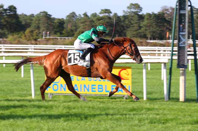 Photo d'arrivée de la course pmu PRIX DE VICHY à FONTAINEBLEAU le Lundi 12 septembre 2022