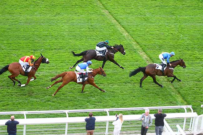 Photo d'arrivée de la course pmu PRIX ALAIN ET GILLES DE GOULAINE à AUTEUIL le Mardi 13 septembre 2022