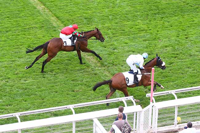 Photo d'arrivée de la course pmu PRIX FINOT (POULAINS) - PELOTON A à AUTEUIL le Mardi 13 septembre 2022