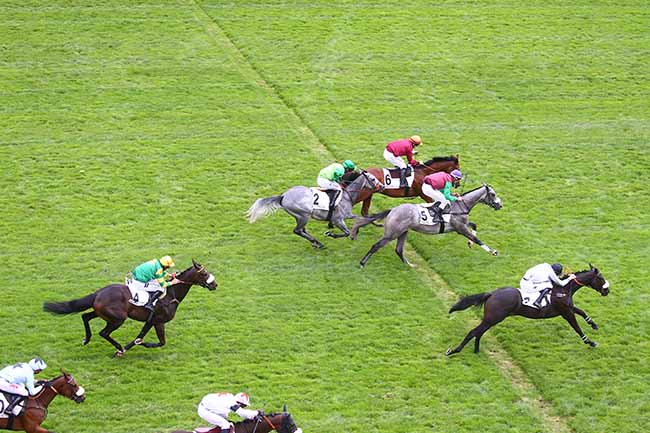 Photo d'arrivée de la course pmu PRIX FINOT (POULAINS) - PELOTON B à AUTEUIL le Mardi 13 septembre 2022