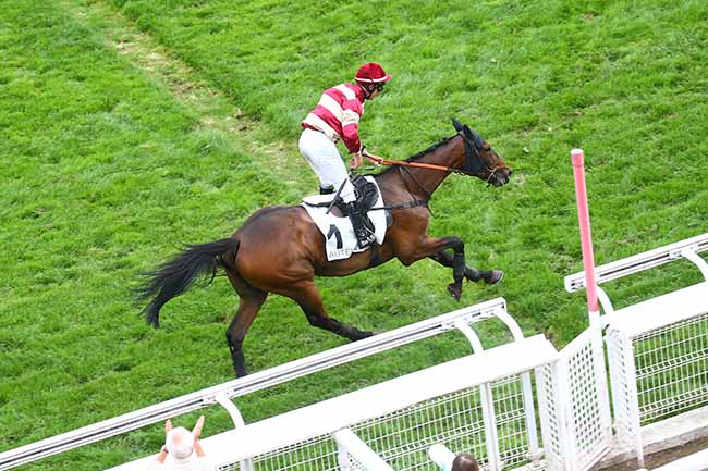 Photo d'arrivée de la course pmu PRIX DE L'ORLEANAIS à AUTEUIL le Mardi 13 septembre 2022