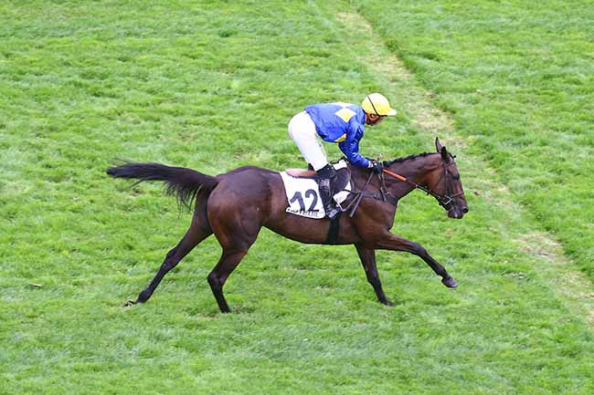 Photo d'arrivée de la course pmu PRIX PIERRE ET BERNARD CYPRES à AUTEUIL le Mardi 13 septembre 2022