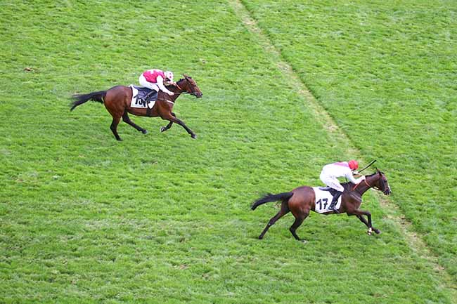 Photo d'arrivée de la course pmu PRIX SAINT-ETIENNE-DE-CORCOUE à AUTEUIL le Mardi 13 septembre 2022