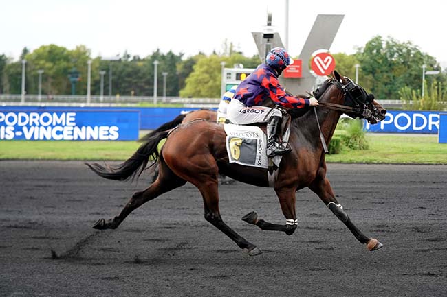 Photo d'arrivée de la course pmu PRIX MUSCA à PARIS-VINCENNES le Mardi 13 septembre 2022