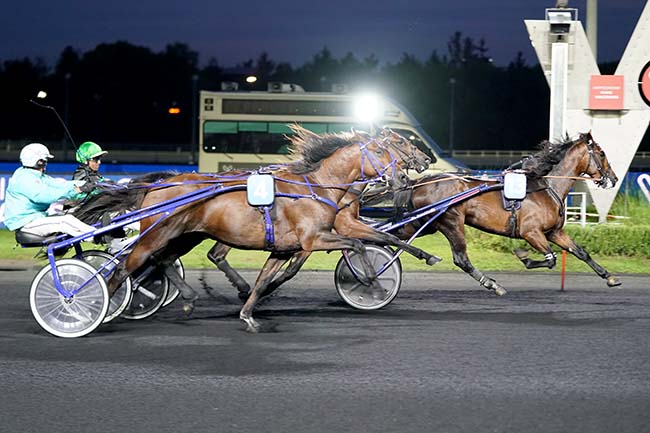 Photo d'arrivée de la course pmu PRIX ERATO à PARIS-VINCENNES le Mardi 13 septembre 2022