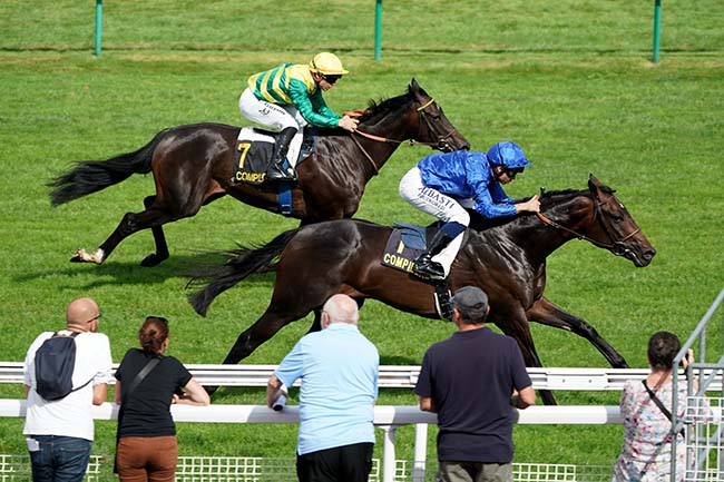 Photo d'arrivée de la course pmu PRIX DE VERBERIE à COMPIEGNE le Mercredi 14 septembre 2022